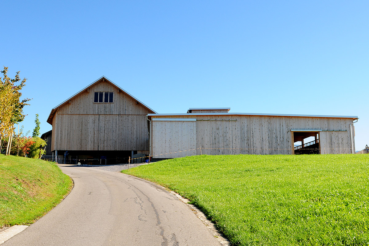 Stallgebäude 3